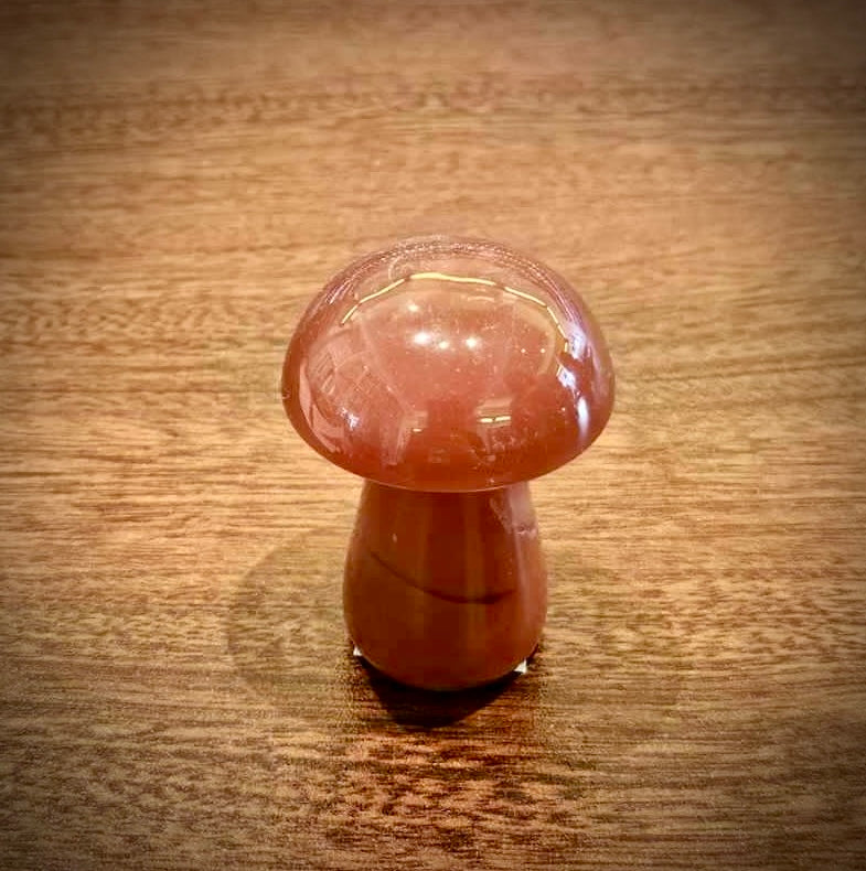 Carnelian mushroom