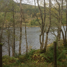 Highland Laird