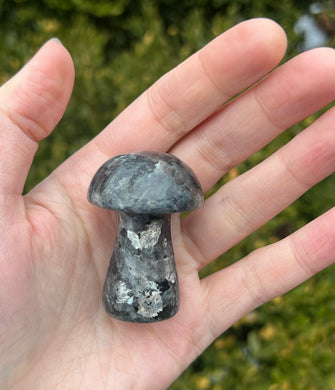 Larvikite mushroom