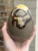 Giant septarian egg